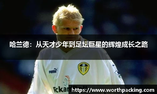 九游娱乐平台